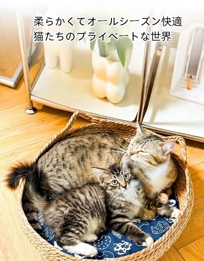 ペットベッド　ハンドメイド423 ペンドルトン　リメイク　猫ベッド　犬ベッド 楽天市場】ペンドルトン ドッグ ベッド（ペット・ペットグッズ
